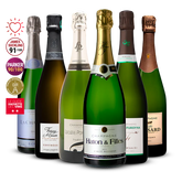 Pack 6 Champagnes de Vignerons