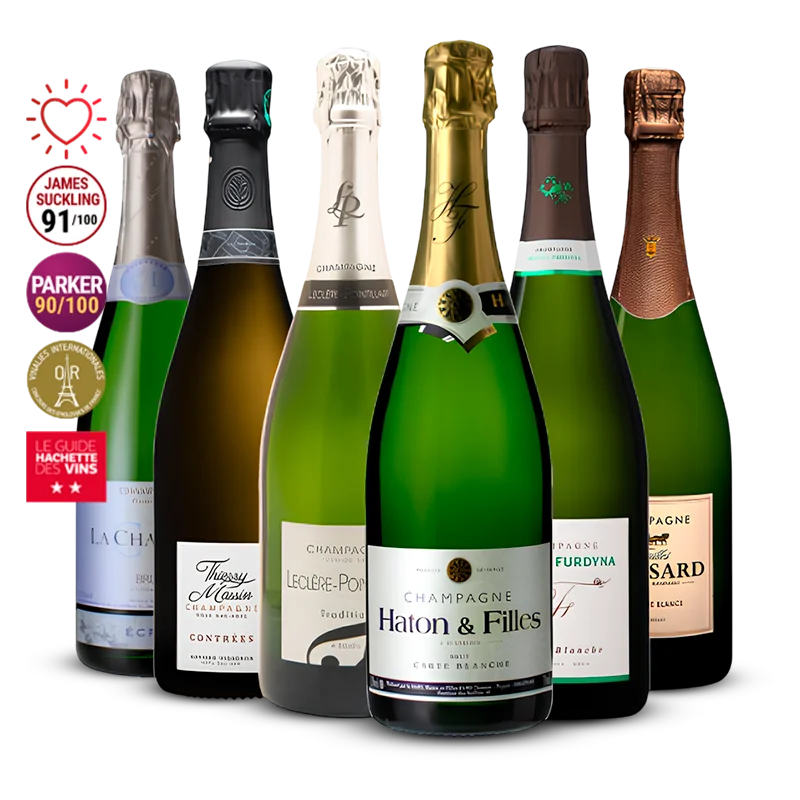 Pack 6 Champagnes de Vignerons