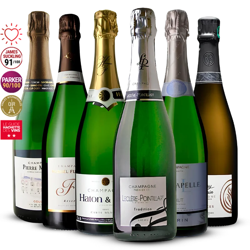 Pack 6 Champagnes de Vignerons